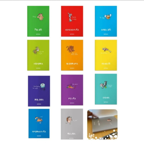 ZESZYT A5 60 KARTEK # KRATKA FIZYKA OKŁADKA PP , HERLITZ ZESZYT A5 60 KARTEK # KRATKA FIZYKA OKŁADKA PP , HERLITZ