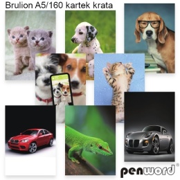 PH-3691 BRULION A5/160 #