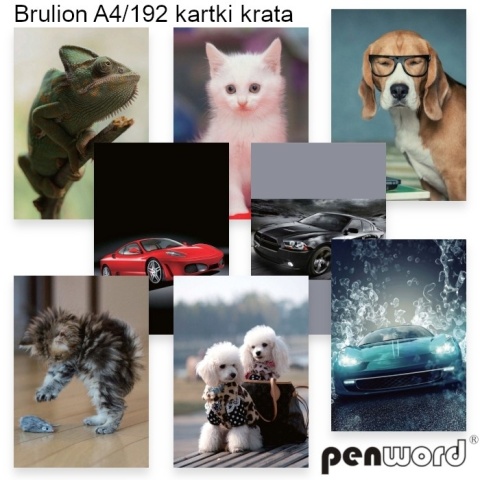 PH-0850 BRULION A4/192 #