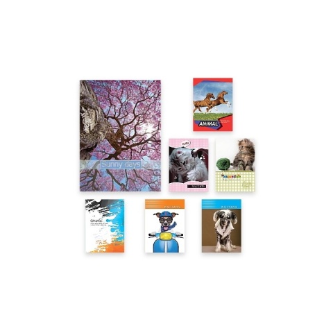 BRULION A5 96 KARTEK LINIA = MIX WZORÓW , PENWORD