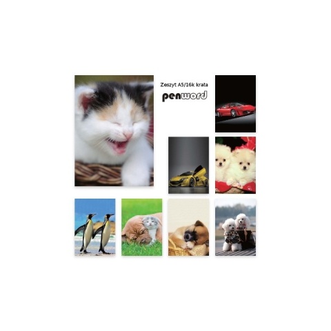 ZESZYT A5 16 KARTEK KRATKA # MIX WZORÓW , PENWORD