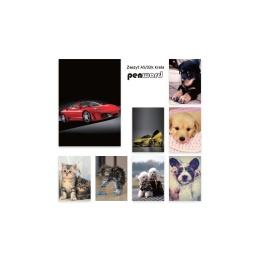 ZESZYT A5 32 KARTEK KRATKA # MIX WZORÓW , PENWORD