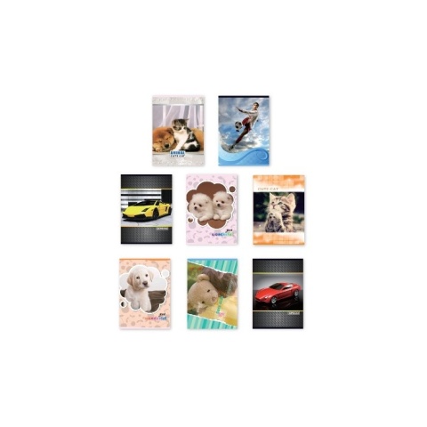 ZESZYT A5 32 KARTKI TRZYLINIA KOLOROWA 3= MIX WZORÓW , PENWORD