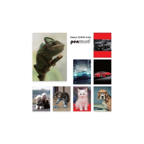ZESZYT A5 60 KARTEK KRATKA KRATA # MIX WZORÓW , PENWORD